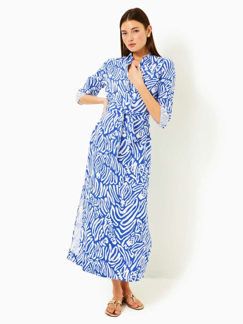 Lilly Pulitzer Blue and White Printed Maxi Dress